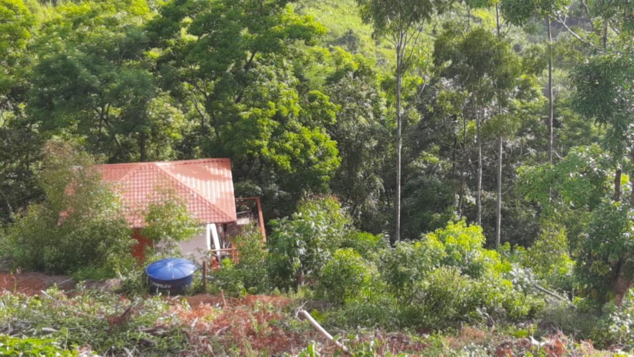 Pousada Sitio Rusticu'S Domingos Martins Kültér fotó